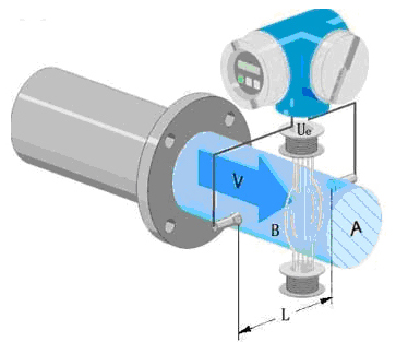 1636942541754733.jpg d5.jpg