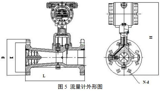 DN65旋進(jìn)旋渦流量計(jì)外形圖